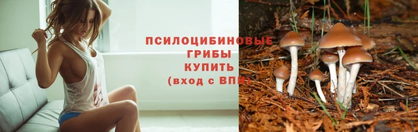 твердый Абинск