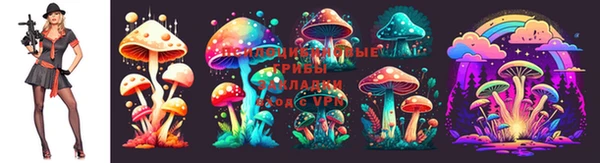 марки nbome Абдулино