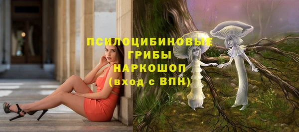 твердый Абинск