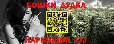 гашик Кулебаки