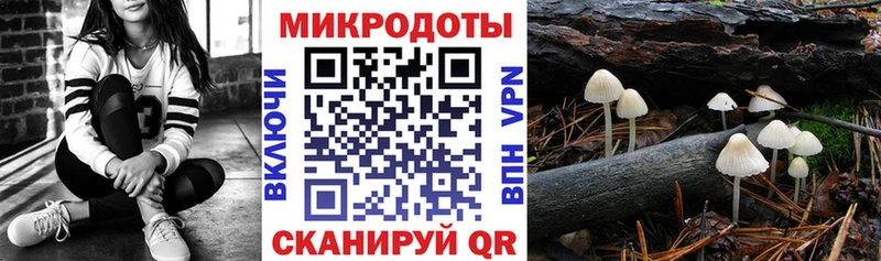Псилоцибиновые грибы ЛСД  наркошоп  Карталы 