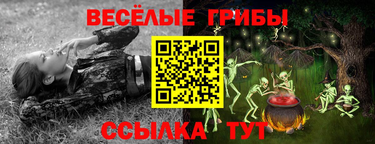 сколько стоит  Галлюциногенные грибы MAGIC MUSHROOMS  Вход с VPN  Карталы 