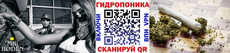 Каннабис план  Карталы 